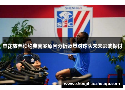 申花放弃续约费南多原因分析及其对球队未来影响探讨 申花放弃续约费南多原因分析及其对球队未来影响探讨